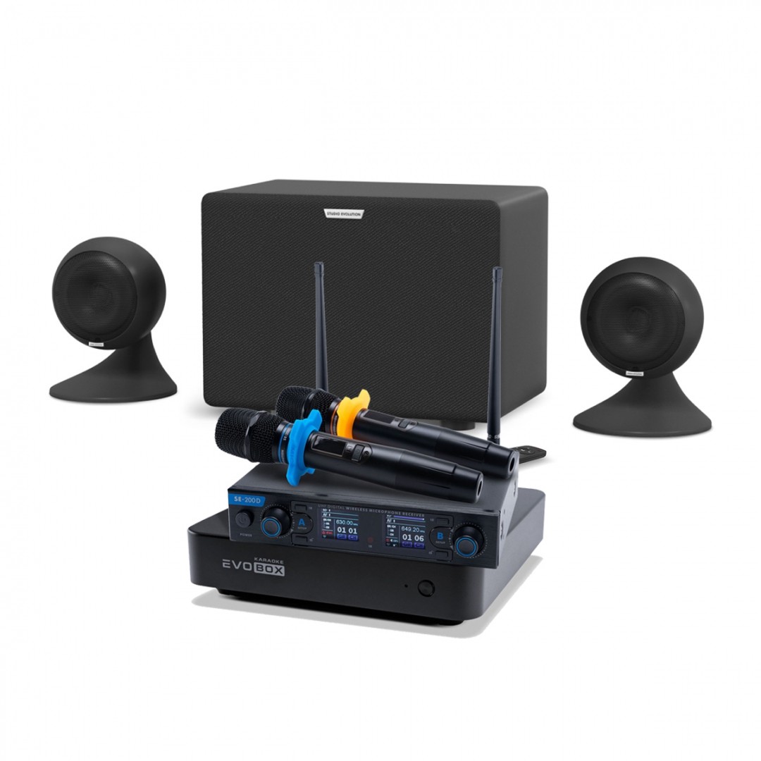 караоке-комплект EVOBOX + EvoSound Sphere 2.1 в Истре