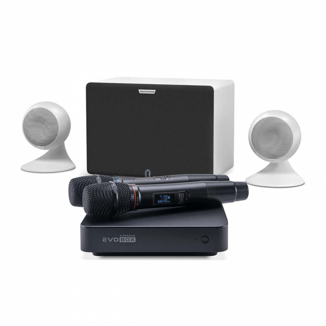 караоке-комплект EVOBOX Classic + EvoSound Sphere 2.1 в Истре
