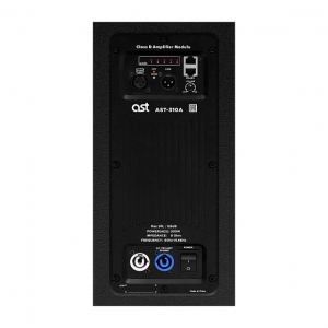 Активная акустическая система AST-310A в Истре