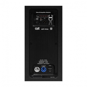 Активная акустическая система AST-312A в Истре