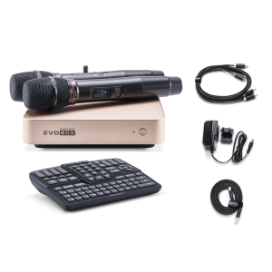 EVOBOX Classic караоке-система для дома в Истре